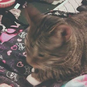 Meet your Posher, Sam